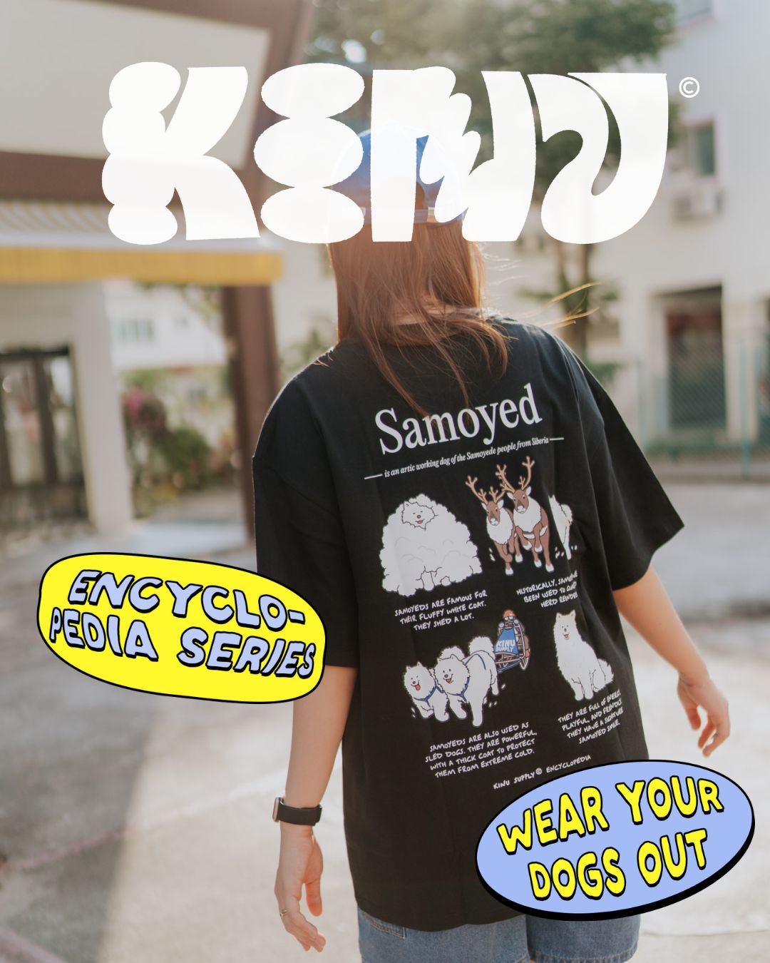 ワンコページ Encyclopedia – Kinu Supply