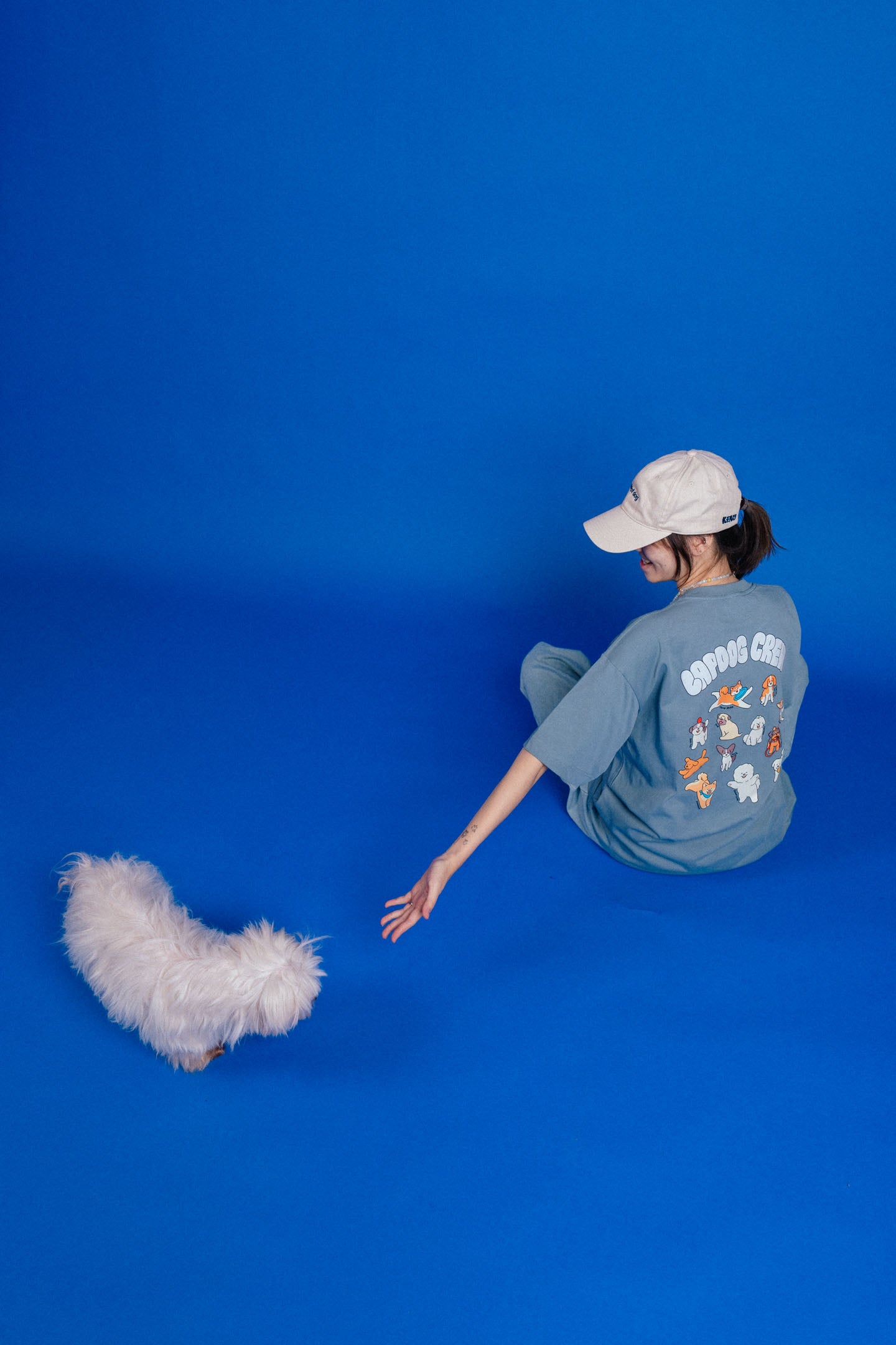 Lapdog Crew T-shirt Grey Blue