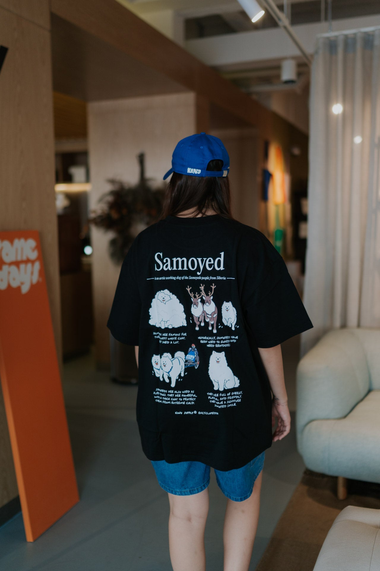 Samoyed Merchandise