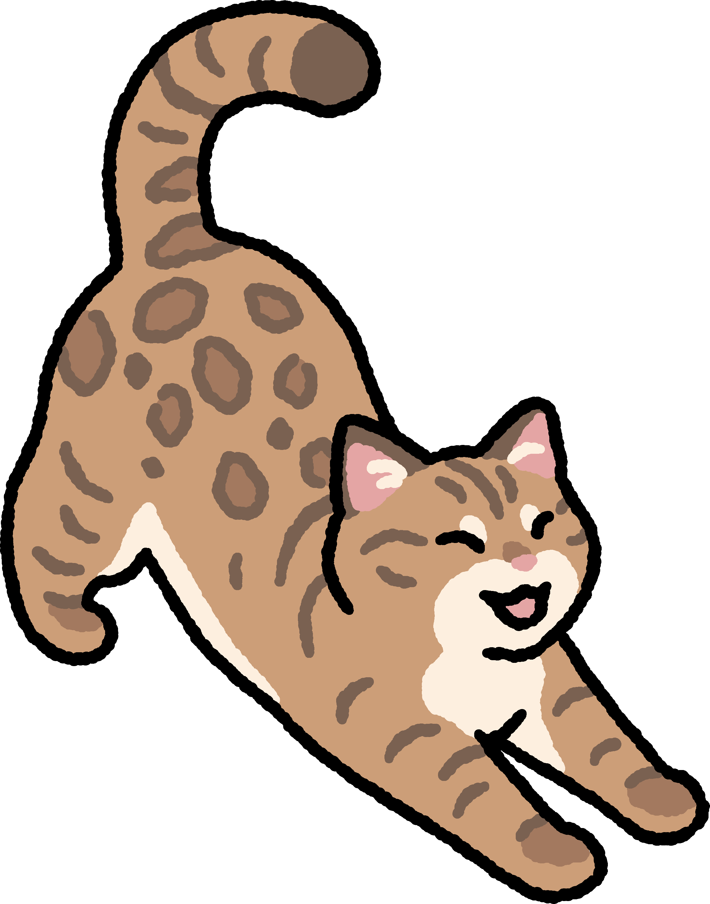 Cat Magnets