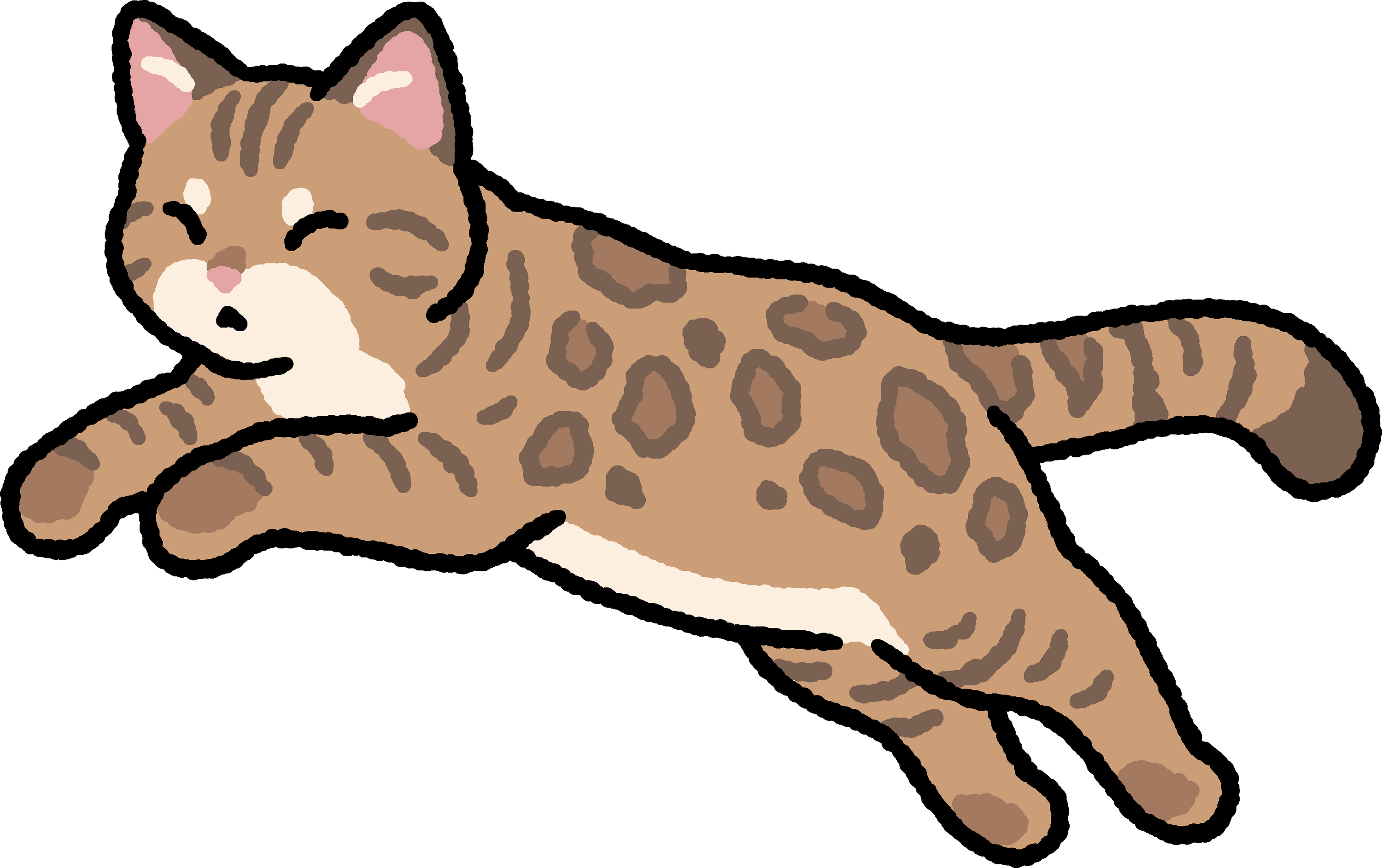 Cat Magnets