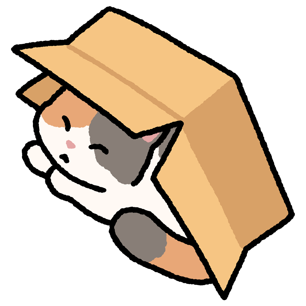 Cat Magnets