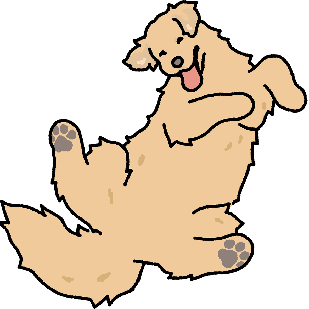 Dog Magnets