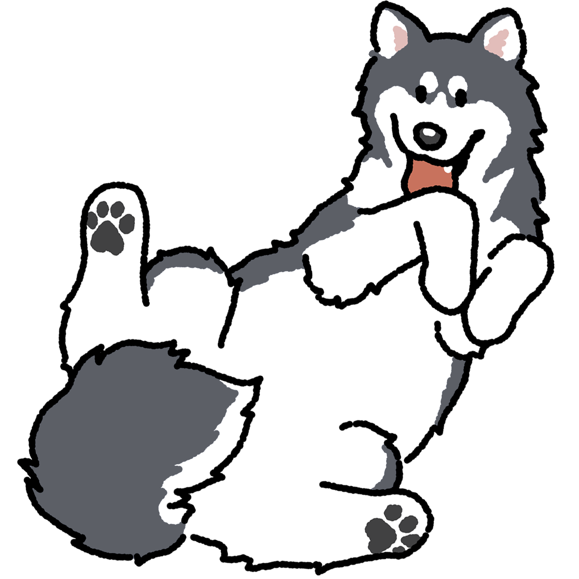 Dog Magnets