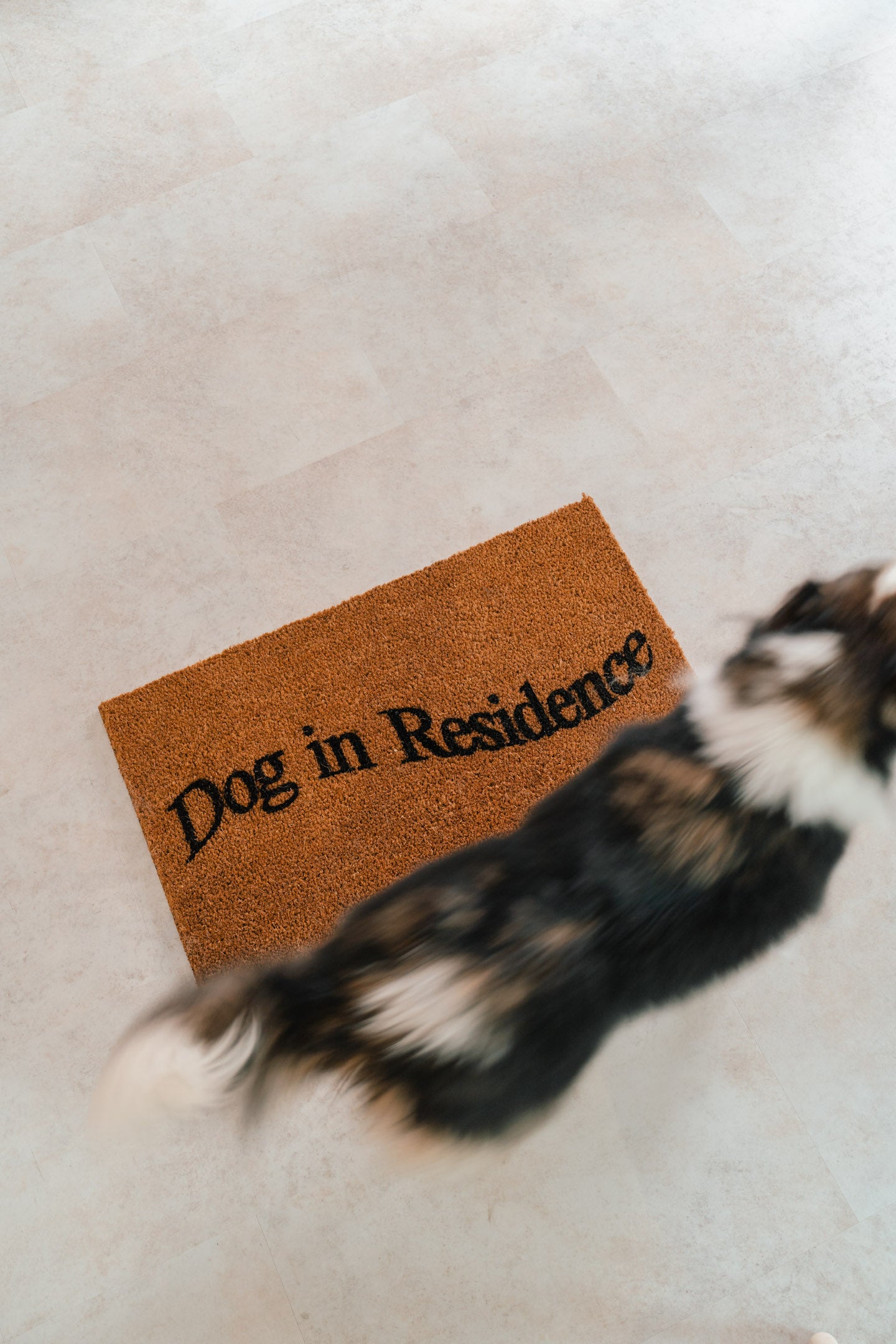 Dog in Residence Door Mat