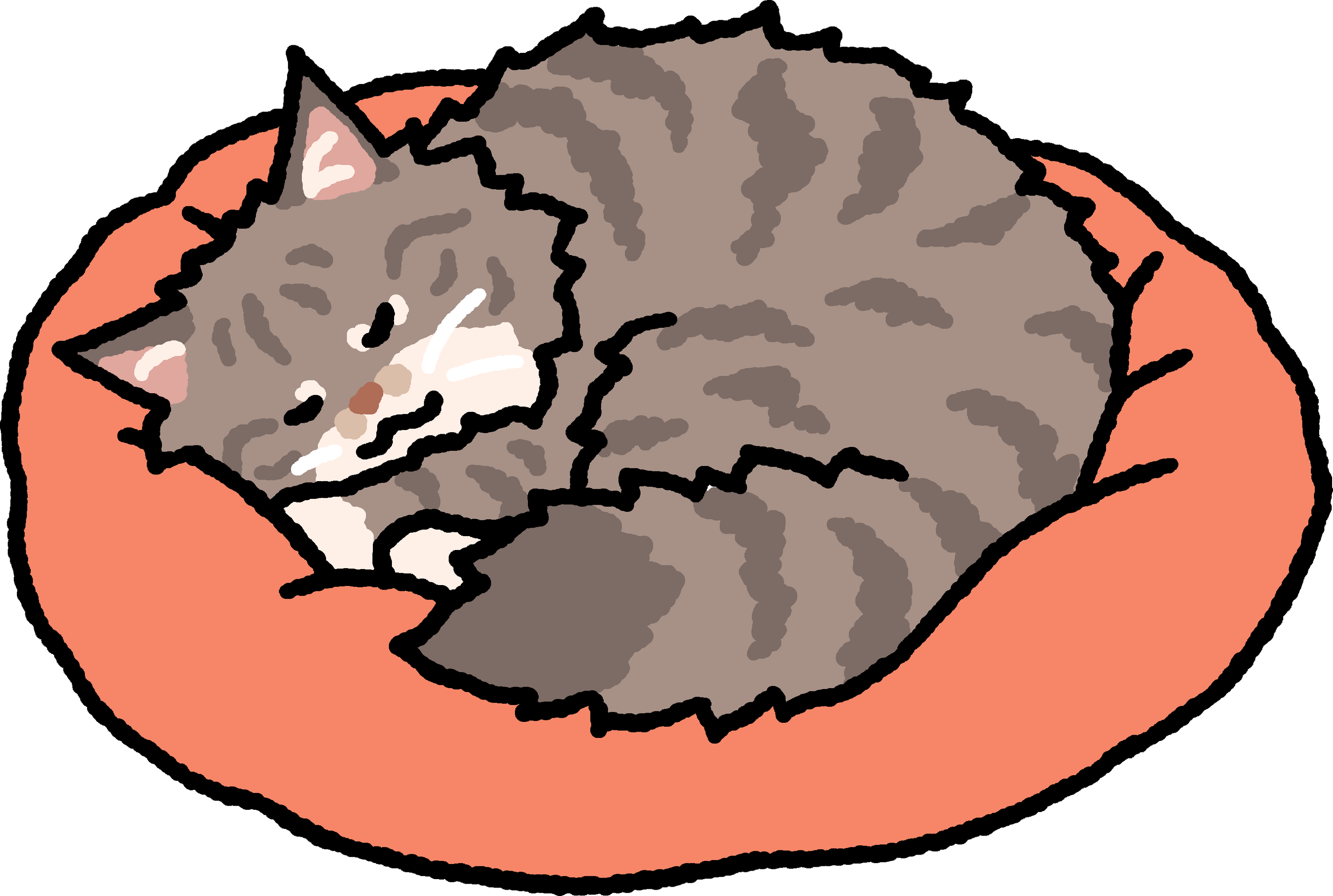 Cat Magnets