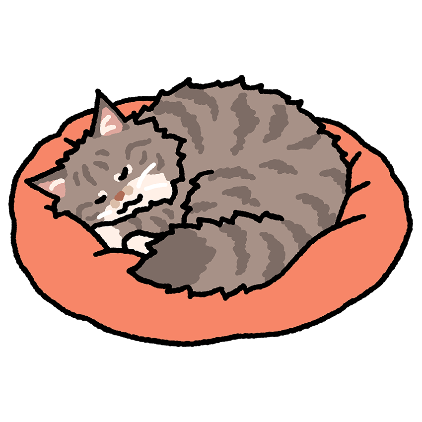 Cat Stickers (waterproof decals)