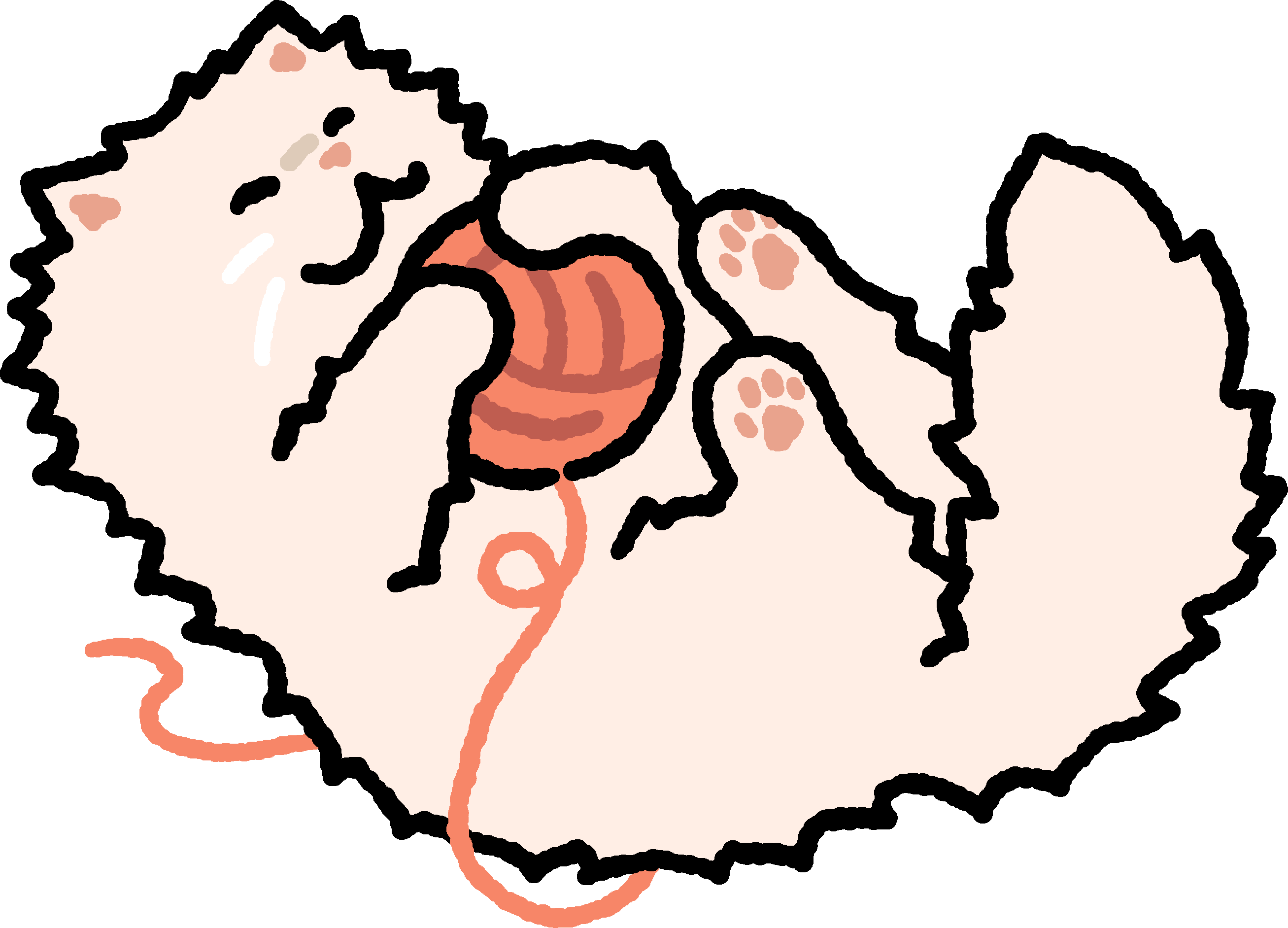 Cat Magnets