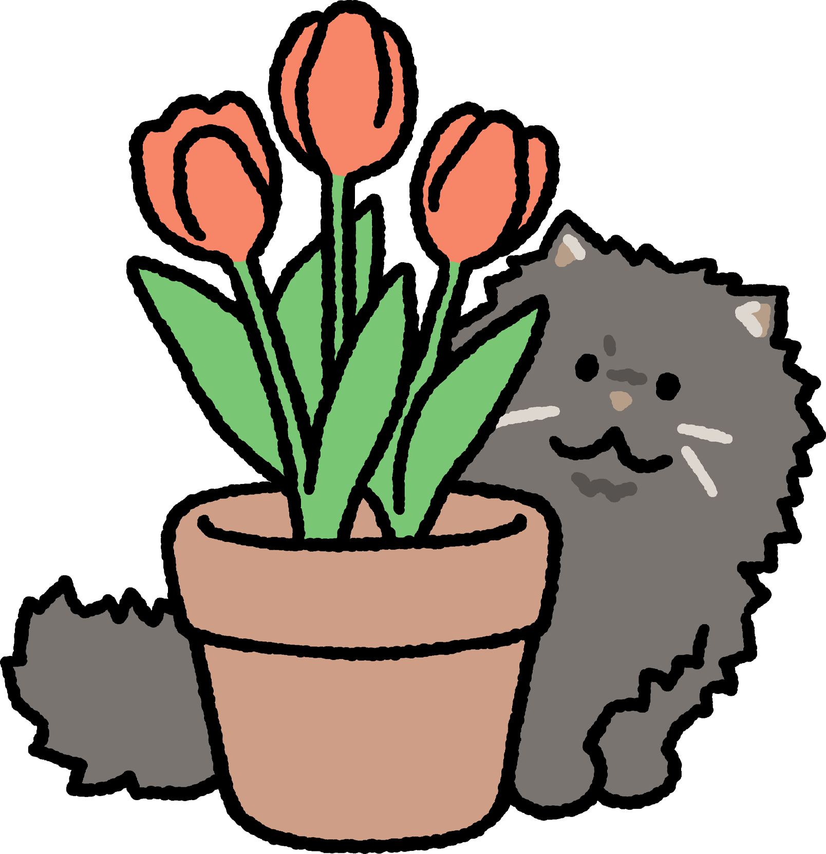 Cat Magnets