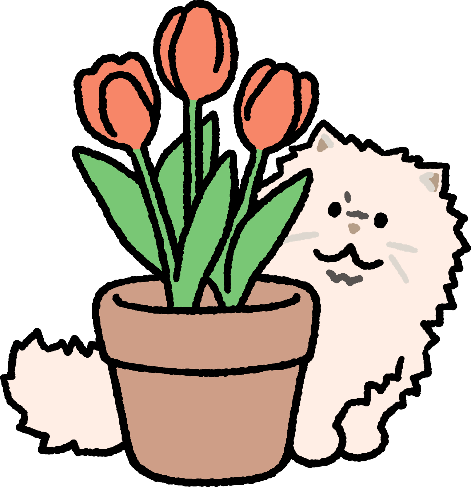 Cat Magnets