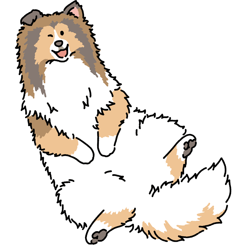 Dog Stickers (waterproof decals)
