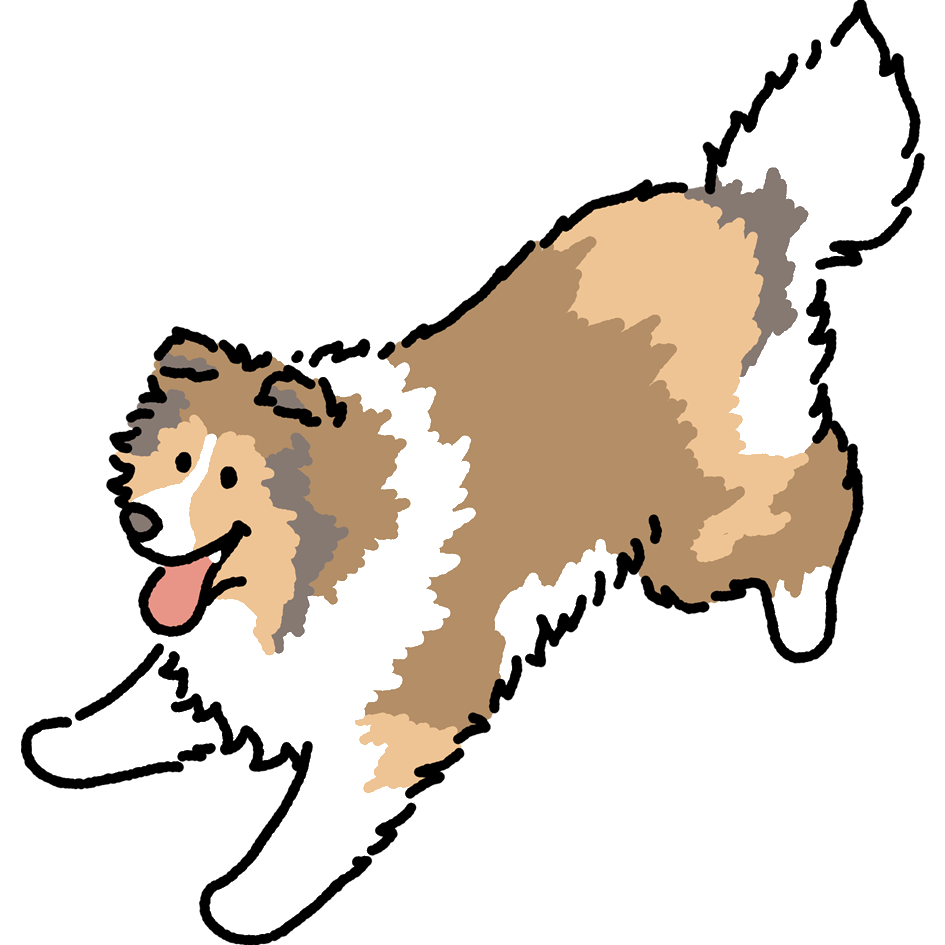 Dog Magnets
