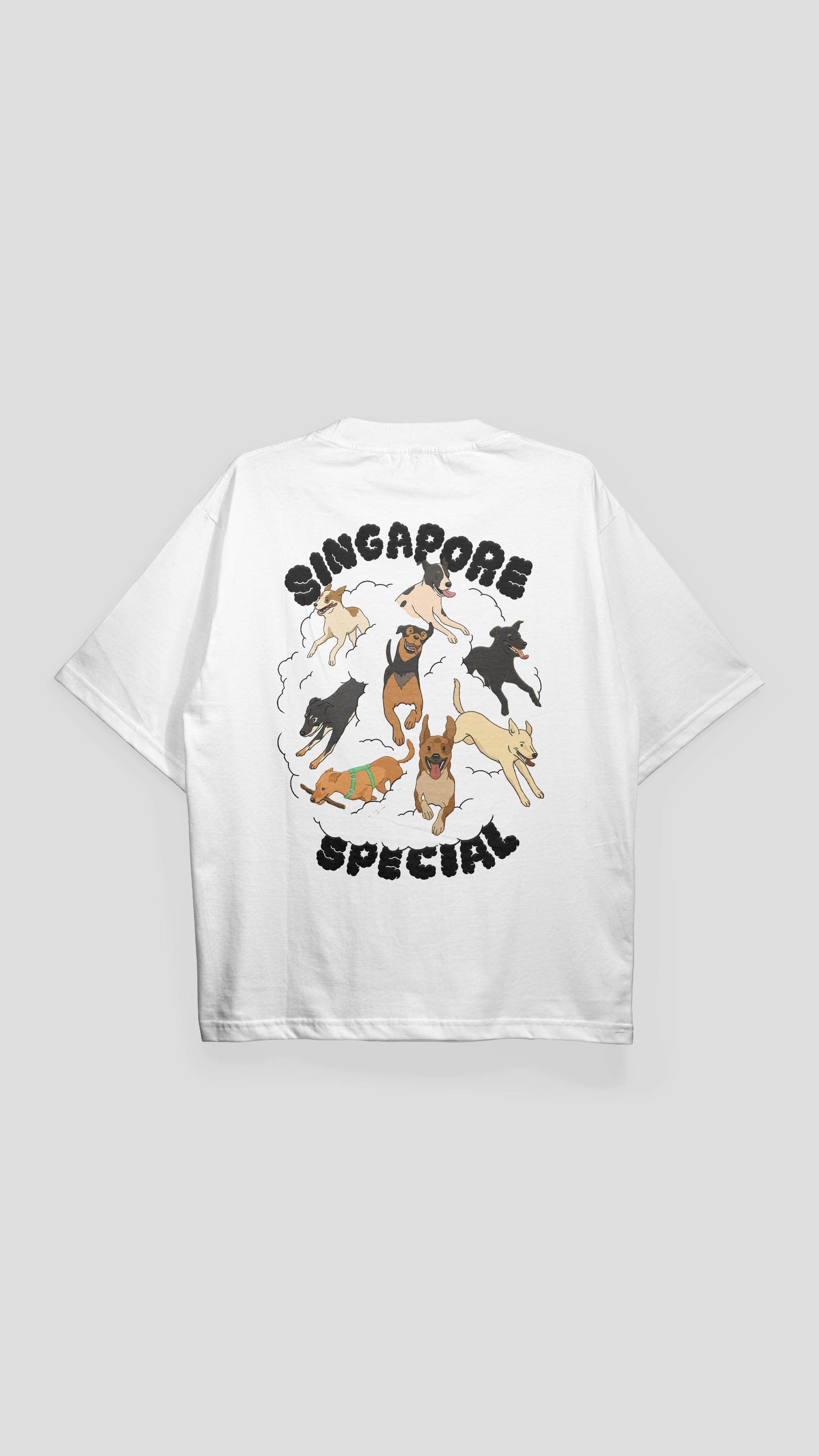 Singapore Special OaB T-shirt White