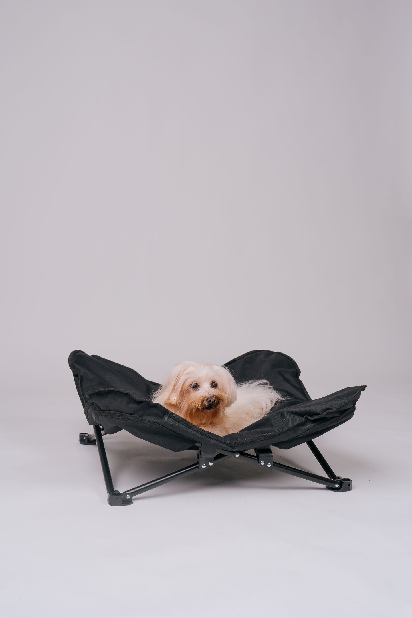 Dog Cot - Black Canvas