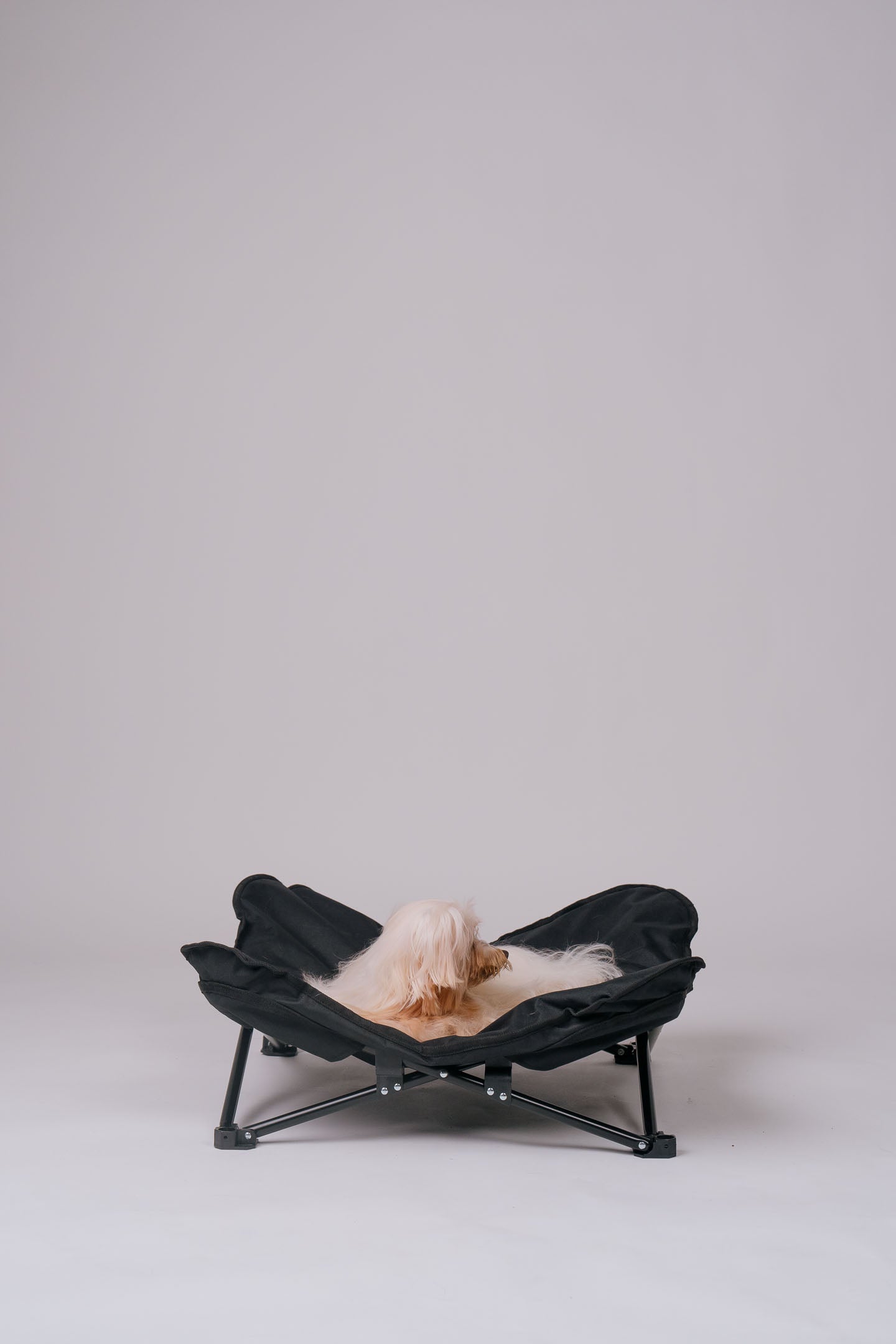 Dog Cot - Black Canvas