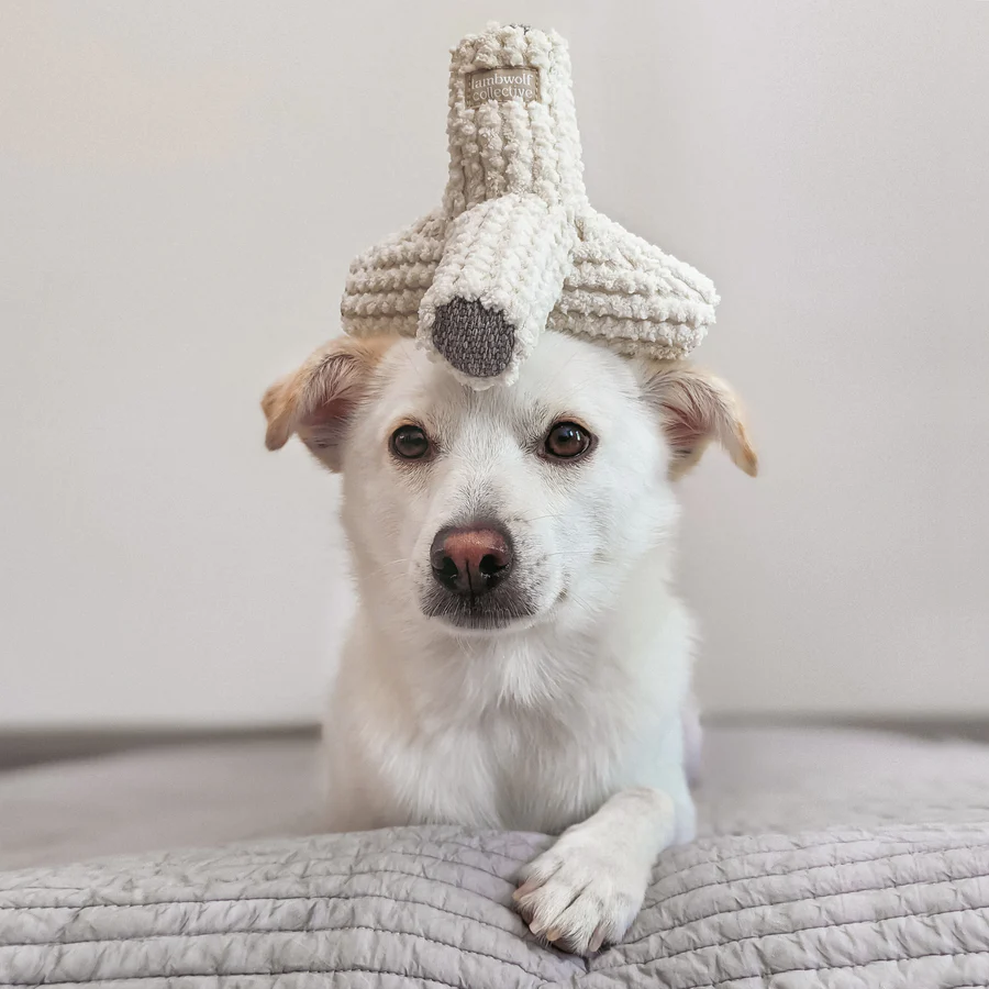 Lambwolf Breuer - Cream