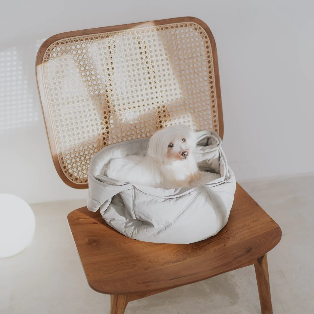 Lambwolf Olla / Petite Carrycot - Koala