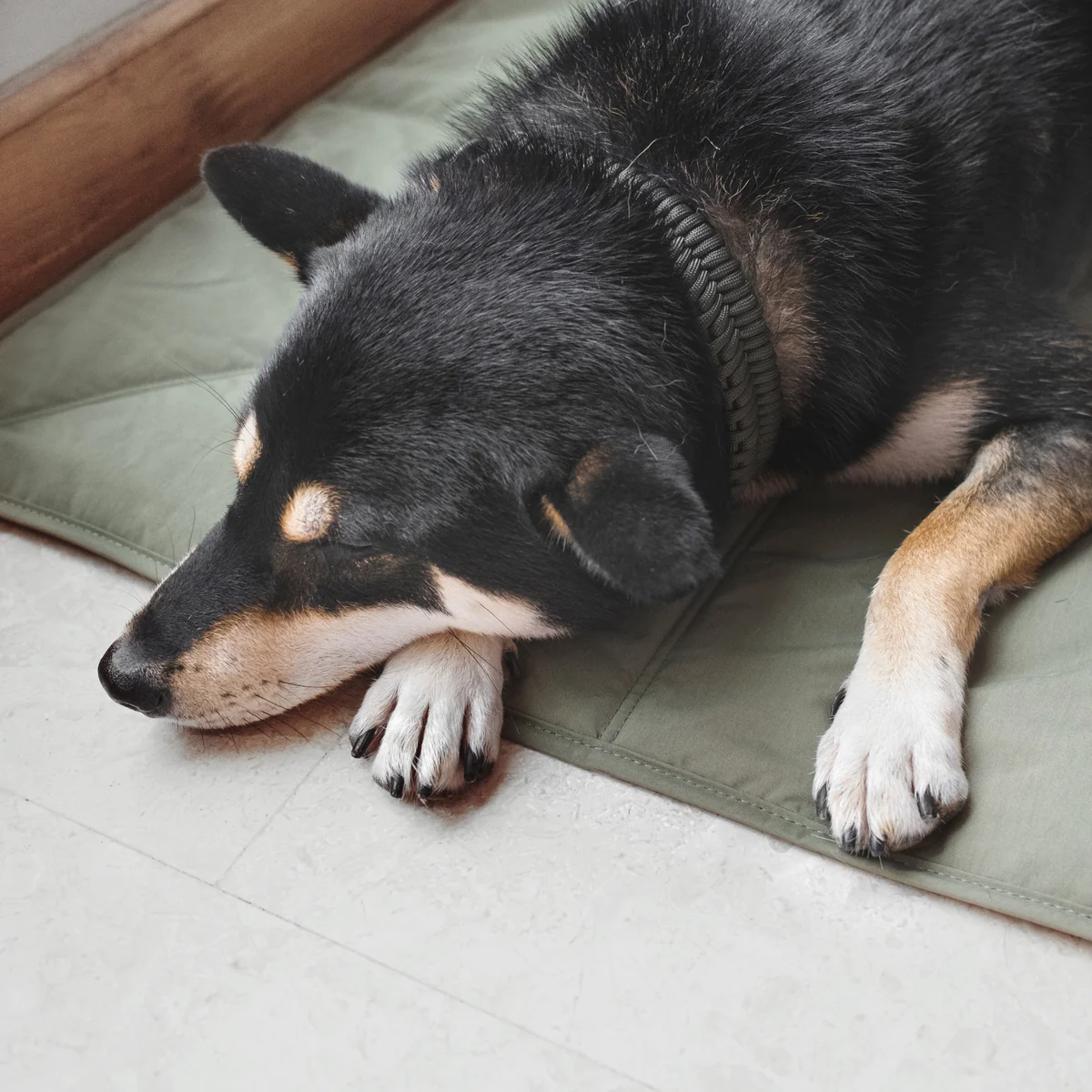 Lambwolf Travel Mat - Fern